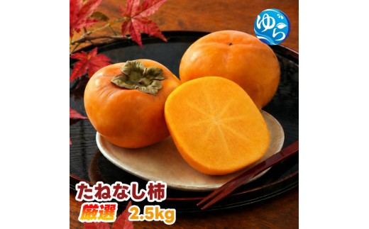 
                  【ふるさと納税】 たねなし柿 2.5kg 厳選 / 柿 刀根早生 平核無柿 富有柿 ※2026年9月下旬から11月上旬に順次発送 ※北海道・沖縄・離島への配送不可  【ikd504-p-2d5】
                