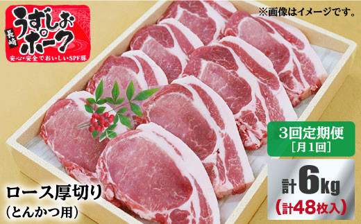 【月1回2kg×3回定期便】長崎うずしおポーク ロース（とんかつ用）計6kg 訳あり＜スーパーウエスト＞ [CAG121] 長崎うずしおポーク ロース とんかつ 定期便 豚肉 国産 大容量