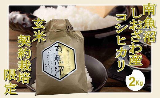 【令和7年産】【玄米２Kg】●玄米● 生産者限定 南魚沼しおざわ産コシヒカリ【銘柄米 ブランド米 玄米 こしひかり コシヒカリ 魚沼産 新潟米 産地直送 お米 米 こめ コメ ご飯 御飯 ごはん】