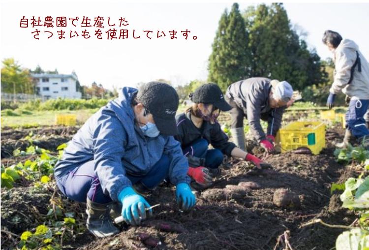 【ぶどうの森】大人気！干しいも3種 食べ比べセット（平干し、石焼き芋丸干し、丸干し） ｜ ほしいも ほし芋 干し芋 干しいも 国産 野菜 サツマイモ さつまいも ※北海道・沖縄・離島への配送不可 ※2