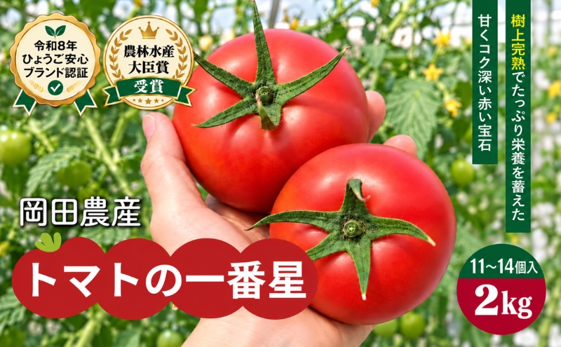 トマト 2kg トマトの一番星 野菜 とまと 完熟 高糖度 甘い 受賞 冷蔵配送