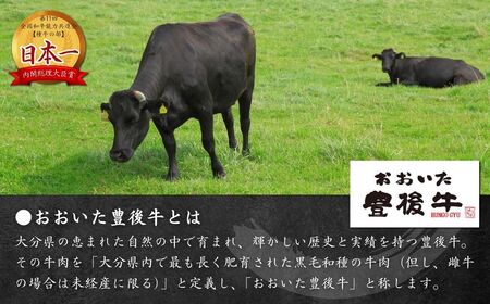 豊後牛切り落とし800g 和牛生ハム1P付|牛肉切り落とし