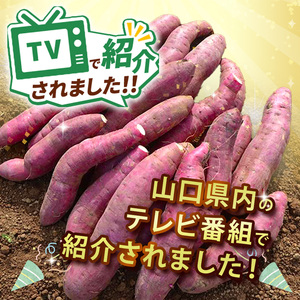 甘くておいしい！べにはるか 1kg 先行予約 ＜ 2025年9月中旬 ～ 12月 の期間より順次発送予定 ＞｜ さつまいも サツマイモ 芋 いも 野菜 紅はるか べにはるか 1kg 5kg 10kg