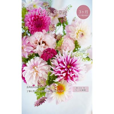 ふるさと納税 芸西村 【毎月定期便】芸西村産季節の生花花束　ブーケL　初回花瓶付　毎回延命剤付【t157tmf】　全3回