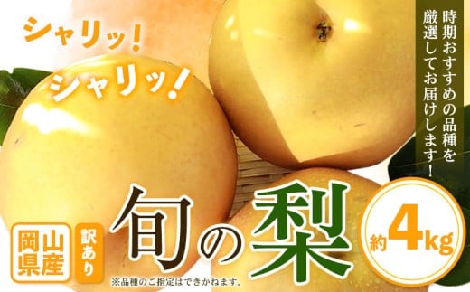 【先行予約】訳あり 旬の梨 約4kg 3-10玉前後 岡山県産 梨 訳あり 新高 愛宕 王秋梨 鴨梨 岡山 笠岡市《9月上旬-1月末頃に出荷予定》数量限定 梨 なし ナシ