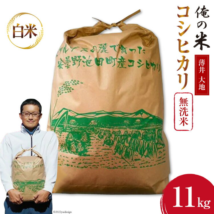 【ふるさと納税】【俺の米】米 令和7年 コシヒカリ 無洗米 11kg [薄井 大地 長野県 池田町 48110782] お米 精米 白米 こしひかり 美味しい 農家 直送