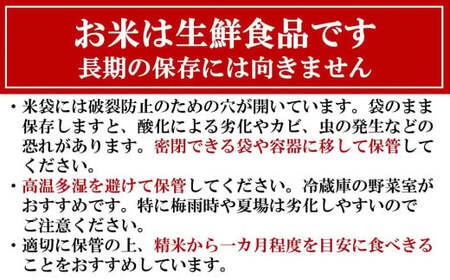新米先行予約【令和8年産米・10ヶ月定期便】新之助 白米 4kg（2kg×2袋）×10回（計 40kg）ヤタらうんめぇ しんのすけ 水田環境鑑定士在籍[Y0339]