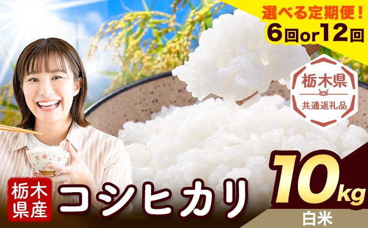
                  【選べる定期便回数 6ヶ月or12ヶ月】米 栃木県産 コシヒカリ 白米 10kg《お申込みの翌月から出荷》栃木県 野木町 米 白米 精米 国産 お米 おこめ お弁当 おにぎり【栃木県共通返礼品】
                