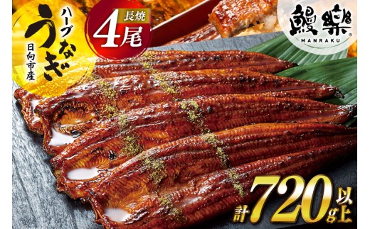 宮崎県産 ハーブ うなぎ 蒲焼 4尾 計720g 以上 タレ山椒付き [鰻楽 宮崎県 日向市 452061651] 真空パック 国産 蒲焼き 長焼き ウナギ 鰻 長蒲焼 冷凍 化粧箱入り 贈答
