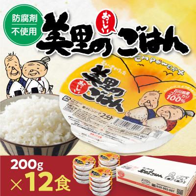 ふるさと納税 羽島市 美里のおいしいごはん(コシヒカリ100%使用)　200g入×12個　防腐剤不使用　パックご飯