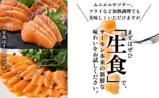 アトランティックサーモンスライス　9g×20枚×3pc入り