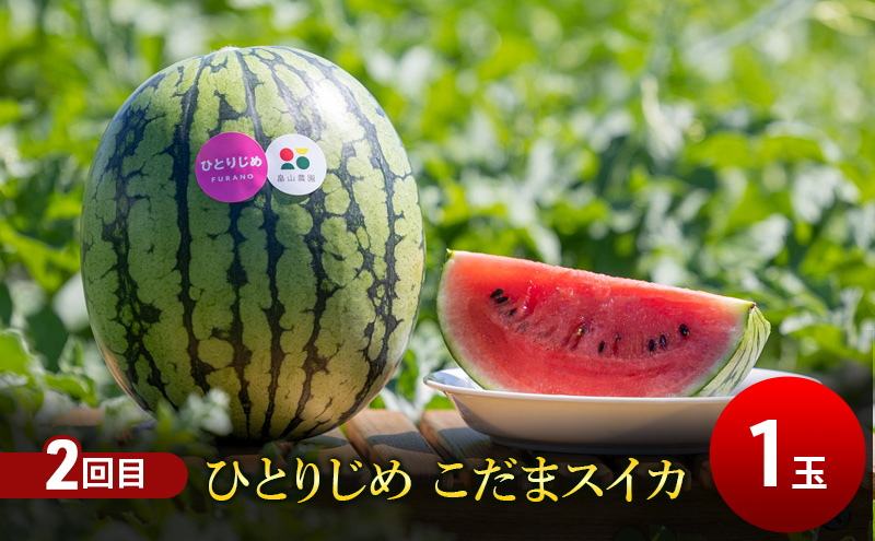 【7・8月 夏のフルーツ定期便2回】2026年夏発送 メロン1玉 約