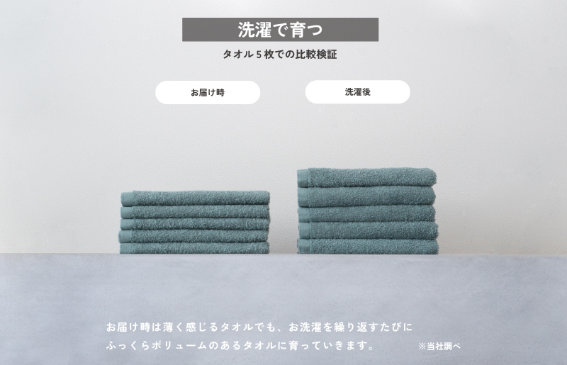 【スピード発送】サンマルフェイスタオル ブルー 8枚 G2259