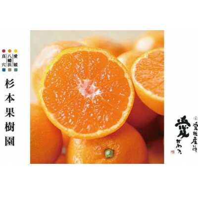 【ふるさと納税】【2025年11月以降順次発送】〈特選〉真穴、八寿みかん(早生温州)5kg【D34-22】_ みかん ミカン 柑橘 フルーツ くだもの 果物 ふるーつ 青果 果実 甘い ジューシー 産直 産地直送 旬 柑橘類 人気 愛媛 果汁 早生 【1510693】