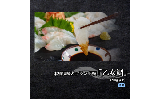 刺身 定期便 3ヶ月 小容量 コース 小島水産 産地直送 かつお ブリ 真鯛 3回 新鮮 乙女鯛 乙女ブリ 藁焼き かつおタタキ 鯛 タイ 鰤 ぶり 鰹タタキ 鰹 カツオ  かつおのたたき 海鮮 お刺