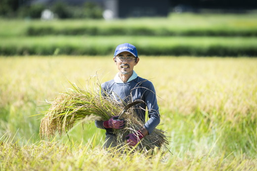 【令和6年産】【自然環境米】鬼北のせせらぎ5kg（鬼北産コシヒカリ） ｜ お米 お米不足 お米品薄 おいしい お米 事業者支援 送料無料 白米 精米 国産 限定 ごはん ご飯 白飯 ゴハン 愛媛県産 