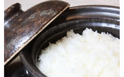 2026年産 丹後弥栄産コシヒカリ（玄米10kg） ふるさと納税 お米 米 玄米 コシヒカリ 農家直送 丹後こしひかり ふるさと納税 玄米　WD00006
