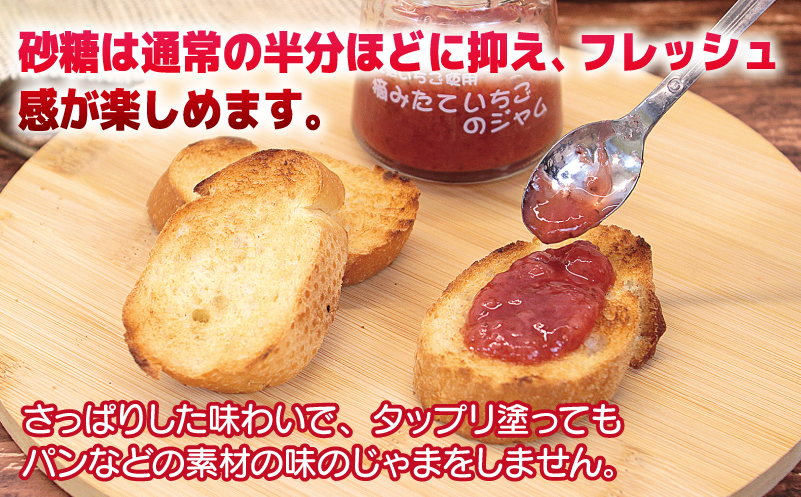 完熟朝摘みいちごのジャム【苺 無添加 自然素材 フルーツ イチゴ 高評価 数量限定】 G1488