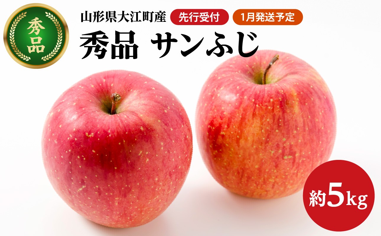 
            《先行予約》【1月発送予定】 サンふじ約5kg・秀品【大江町産・山形りんご・大地農産】【028-026】
          