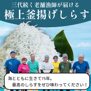 しらす 釜揚げ 200g お試し 5月~12月中旬発送 しらす