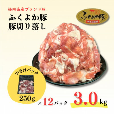 【ふるさと納税】ふくよか豚切り落とし3.0kg(250g×12パック)【配送不可地域：離島】【1566230】