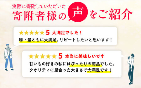 訳あり 4号ケーキ 3種 / ケーキ[AFAK218-1]