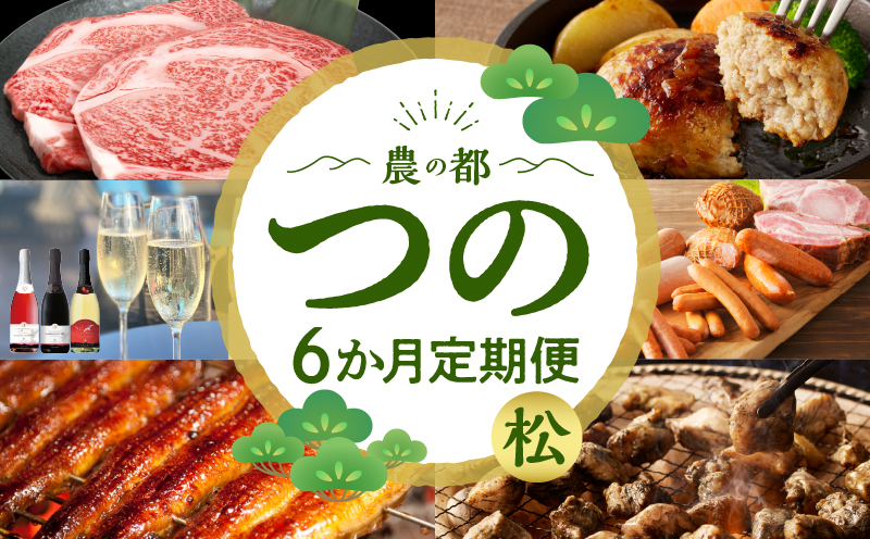 ≪6か月お楽しみ定期便≫都農町定期便(松) 肉 加工品 鰻 国産_T999-0071