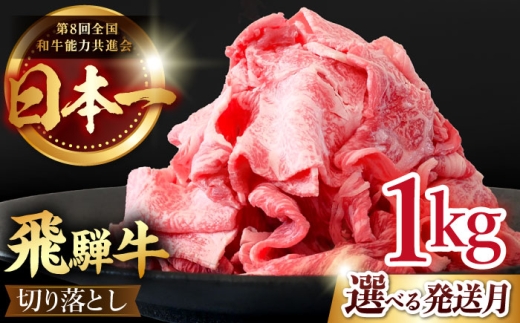 【11月発送】【 飛騨牛 】 切り落とし 1kg ( 250g × 4 )  牛肉 国産 ブランド牛 和牛 多治見市 / 肉のひぐち [TDC013-11]