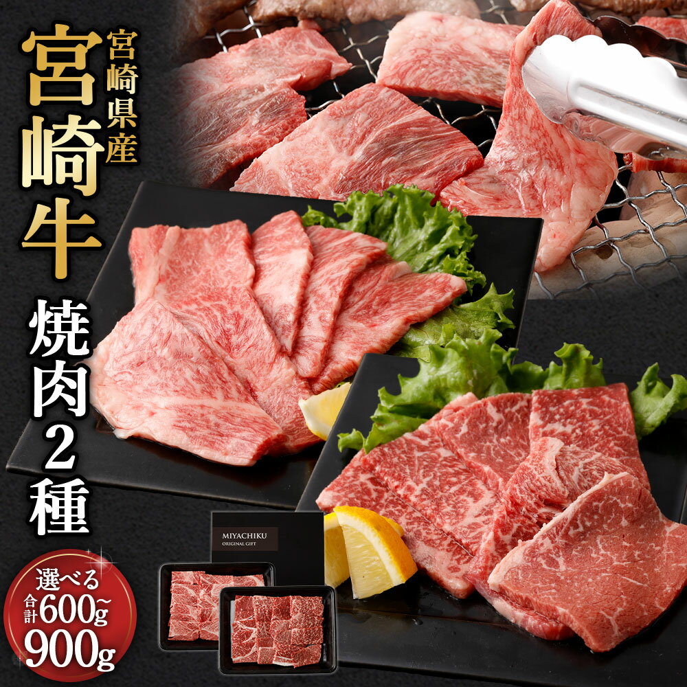 【ふるさと納税】＜宮崎牛 焼肉 2種（赤身霜降り）＞2026年2月上旬より順次出荷 宮崎牛 肩ロース ウデ or モモ 計約600g～900g 2パック 牛肉 和牛 霜降り 焼肉 冷凍 宮崎県 高鍋町 送料無料 新生活応援 卒業祝い 就職祝い 入学 卒業 お花見 引越し
