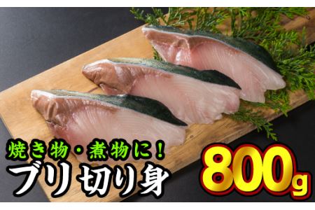 加熱用ブリ切り身 600gセット（100g × 6切れ） OB-f-11
