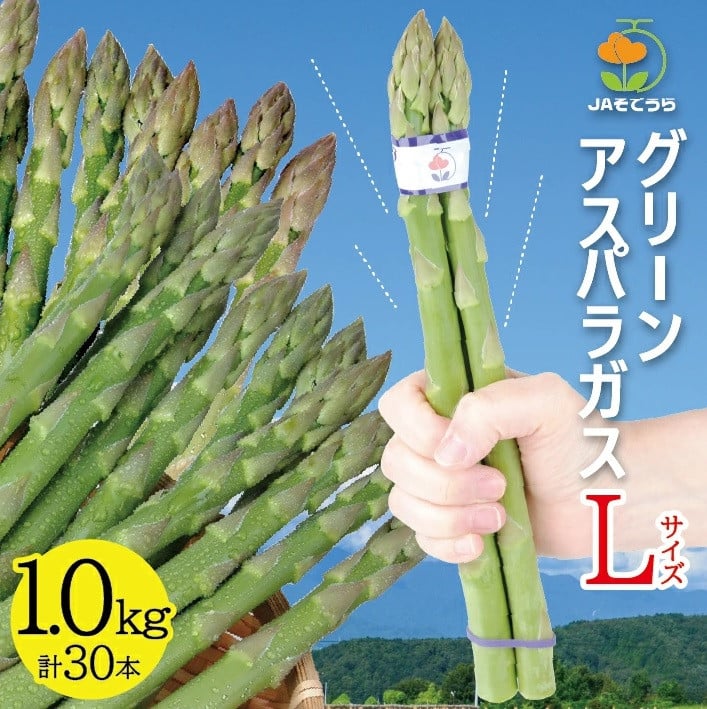 
                  グリーンアスパラガス Lサイズ 1kg　計30本(3本1束×10束) SA2879
                