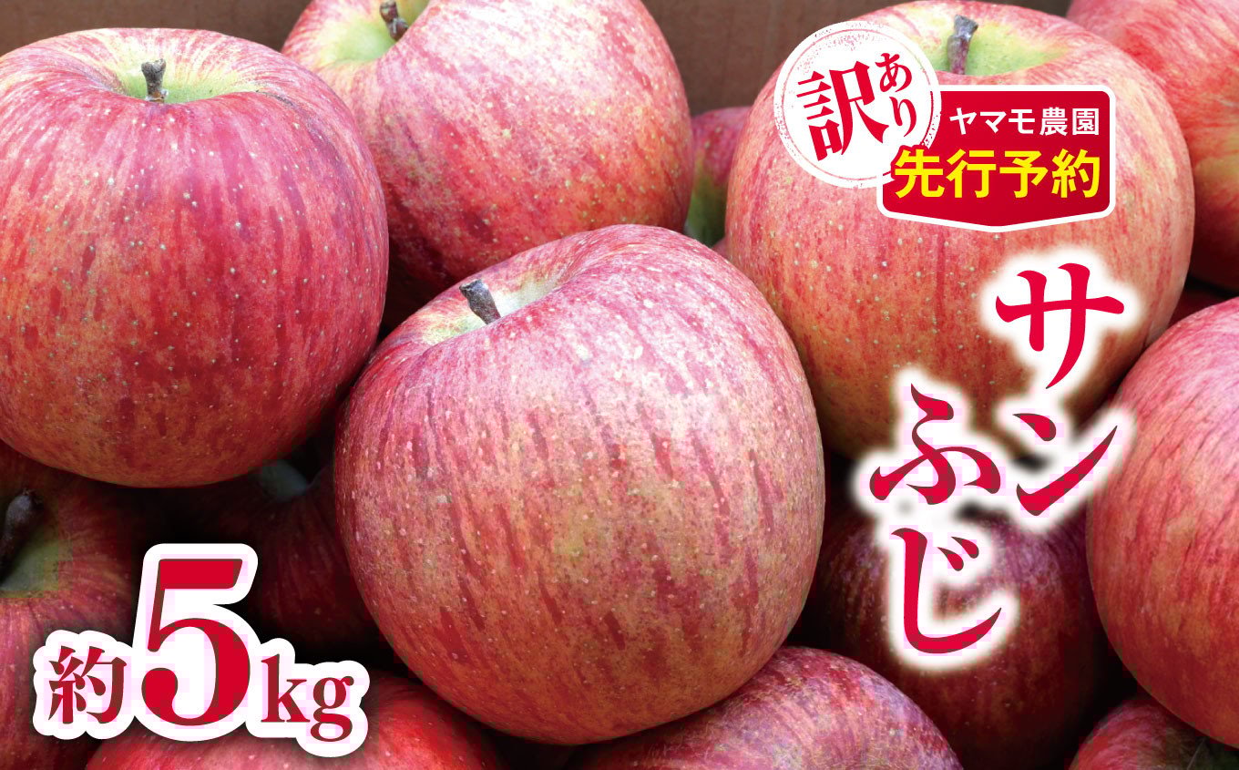 
            訳ありサンふじ 約5kg 【2026年先行予約】 | ヤマモ農園 果物 フルーツ りんご リンゴ 林檎 サンふじ 訳あり 長野県 松川村 信州
          