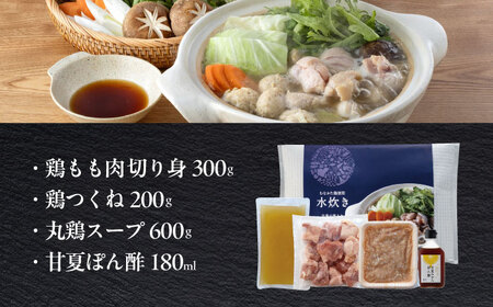 水炊き むなかた鶏使用 水炊き2人前 [ABEQ027] 水炊き