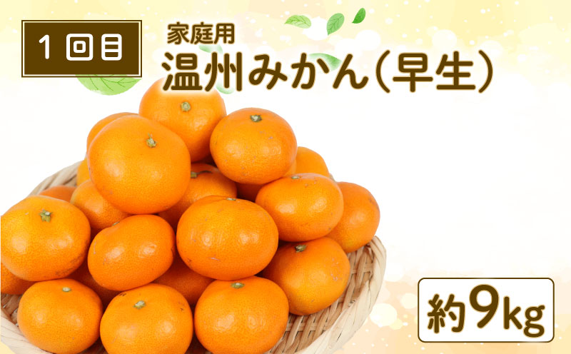 柑橘定期便 全 3回 みかん定期便 家庭用 早生 温州みかん ぽんかん 河内晩柑 玉津柑橘倶楽部 先行予約 サイズ 不揃い ポンカン 果実 果物 くだもの フルーツ 柑橘 愛媛蜜柑 愛媛みかん mik