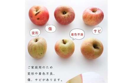 《訳あり》ご家庭用 ふじりんご 5kg 山形県産 2025年産 令和7年産 【2025年12月頃より順次発送予定】（フードロス対応・食品ロス・規格外・SDGs・生産者支援）　010-B-NG009