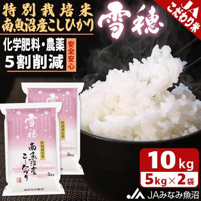 ふるさと納税 南魚沼市 【令和7年産《新米》】農薬5割削減「特別栽培米南魚沼産こしひかり雪穂」精米10kg(5kg×2袋)