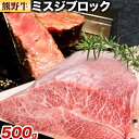 【ふるさと納税】牛肉 熊野牛 希少部位 ミスジ ブロック 500g 株式会社Meat Factory《30日以内に出荷予定(土日祝除く)》和歌山県 日高川町 熊野牛 牛 和牛 ブロック肉 みすじ