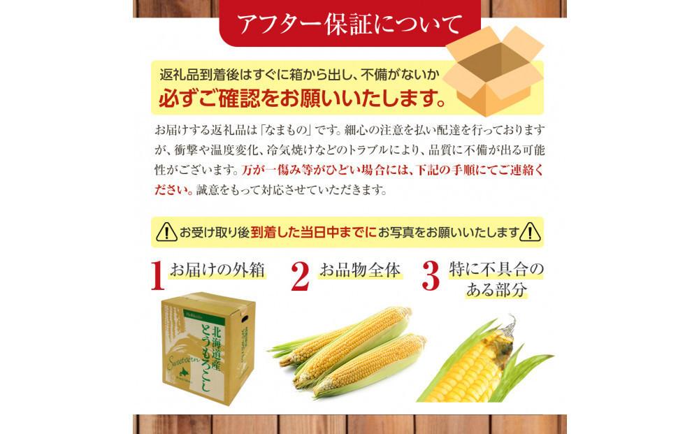 【先行予約】旭川近郊産　黄色いとうもろこし(ゴールドラッシュ) 3.5kg(10本) 2026年8月上旬から発送開始予定 【 人気 北海道産 糖度 生 野菜 スイートコーン 産地直送 バーベキュー B