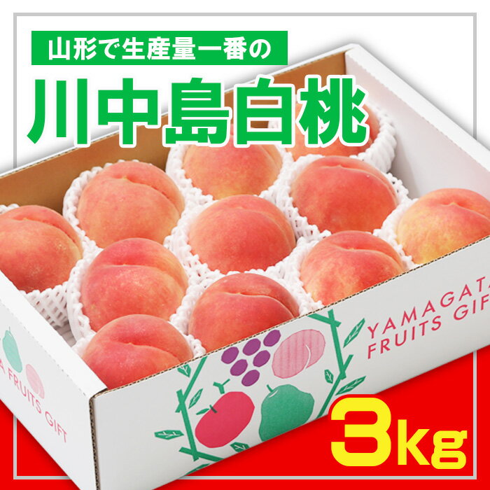 【ふるさと納税】☆フルーツ王国山形☆ 白桃 秀品3kg [山形で生産量1番の 川中島白桃 ] 【令和7年産先行予約】FS23-825 くだもの 果物 フルーツ 山形 山形県 山形市 2025年産