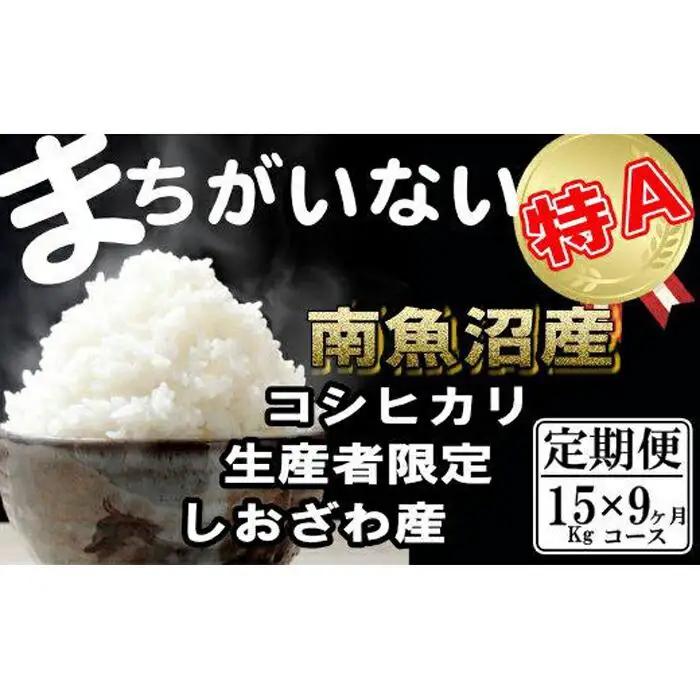 【令和7年産】【定期便】生産者限定 契約栽培　南魚沼しおざわ産コシヒカリ（15Kg×9ヶ月）【定期便 銘柄米 ブランド米 精米 こしひかり コシヒカリ 魚沼産 新潟米 産地直送 お米 米 こめ コメ ご飯 御飯 ごはん】
