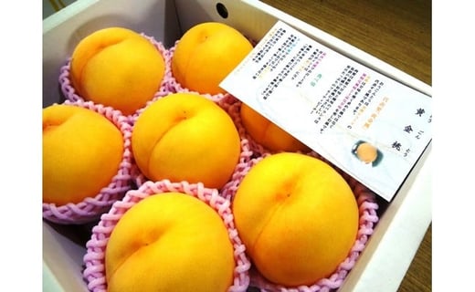 
                  08-07-007　もも(金桃・黄金桃)2.5kg
                