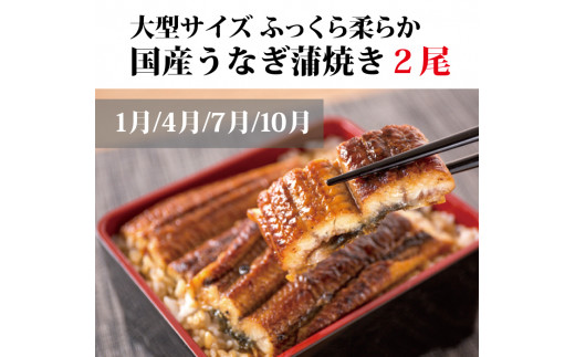 【3か月定期便】うなぎ･高級和牛･マグロ　人気返礼品を3回お届け♪【tkb104】【tkb104】