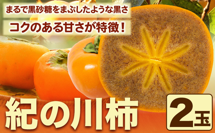 
            紀の川柿 2玉入 約500g ときわオンライン【先行予約】《2025年10月上旬-12月中旬頃出荷》和歌山県 紀の川市 平核無柿 ひらたねなしがき
          
