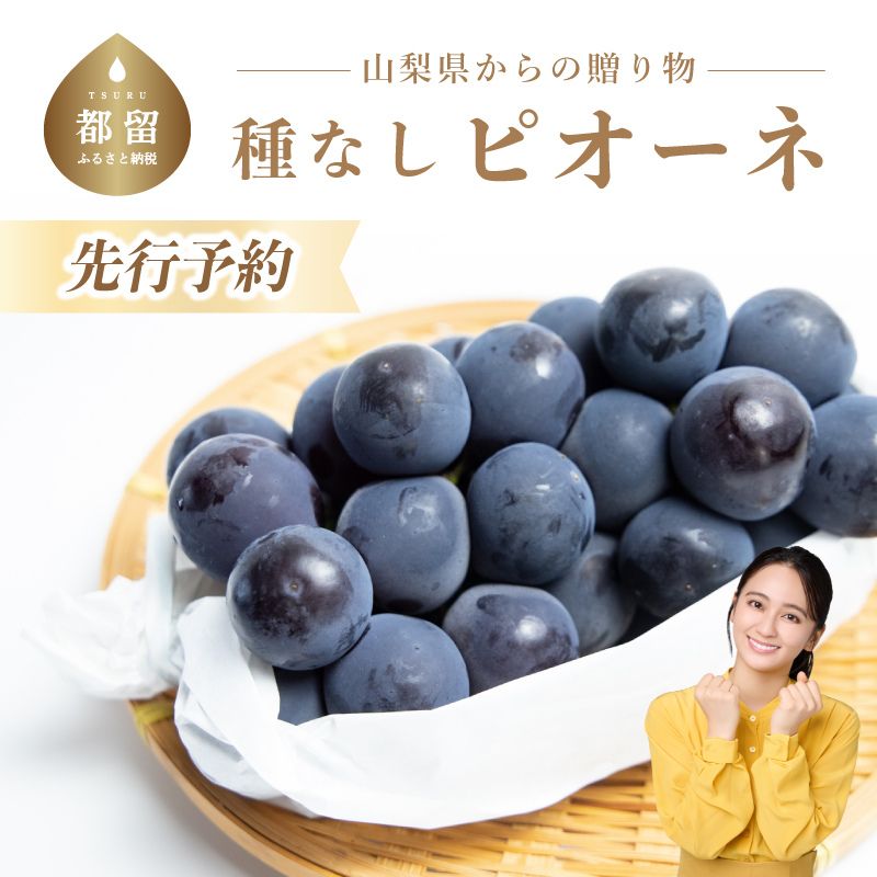 【2026年発送！ 】【冷蔵発送】山梨県産　種なしピオーネ2～3房(約1.0Kg）