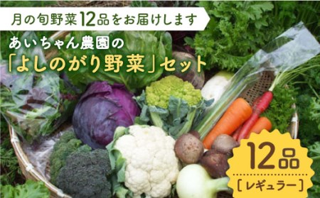 【12品】農薬に頼らない！カラダにやさしい「よしのがり野菜」セット（レギュラー）吉野ヶ里町/吉野ヶ里あいちゃん農園  [FAA005]