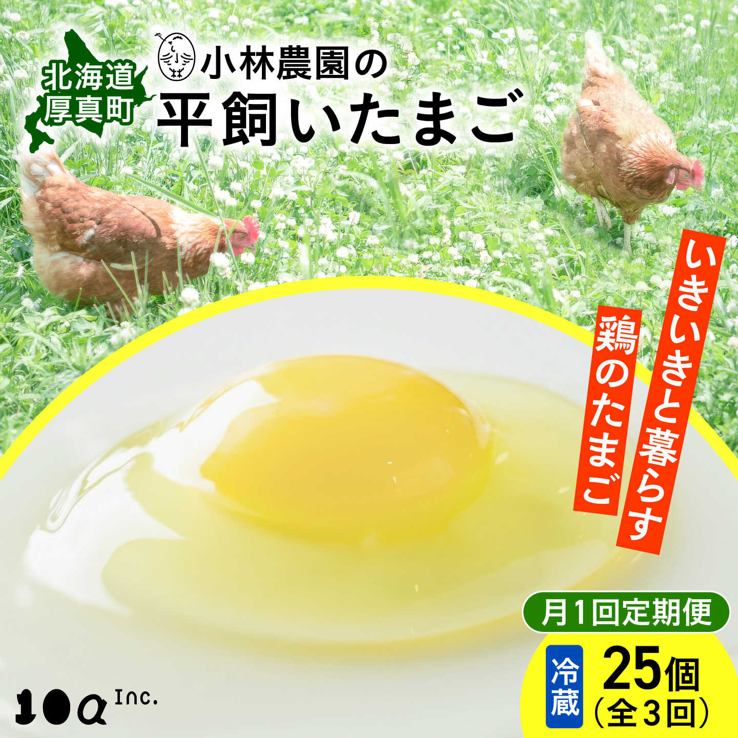 【ふるさと納税】【全3回定期便】小林農園の平飼いたまご・無投薬 25個/50個から選べる《厚真町》【テンアール株式会社】 たまご 卵 鶏卵 玉子 生卵 平飼い 北海道 定期便 [AXAN004]