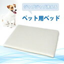 【ふるさと納税】ペット用 洗える ベッド 単品 M アイボリー（80×60×3）　016101