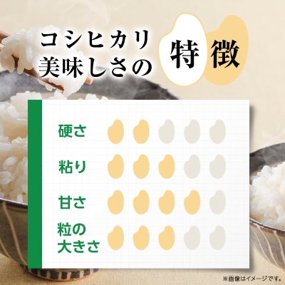 かすみがうら市産コシヒカリ  精米  10kg【1268976】