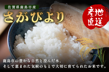 【鹿島市産】＼生産者直送／ さがびより 白米5kg　さがびより 佐賀県産さがびより 佐賀県鹿島市 お米 米 精米 玄米 ふるさと納税 お米 ご家庭用米 主食ギフト 美味しいお米 お取り寄せ 贈答用米 