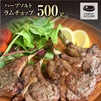 ふるさと納税 田村市 ラムチョップ ハーブソルト味 500g×1パック 冷凍保存